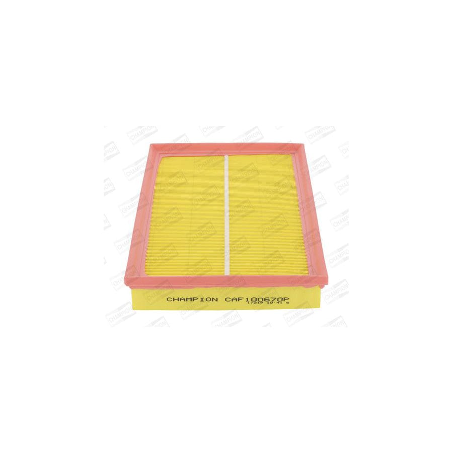 Champion CAF100670P Air Filter