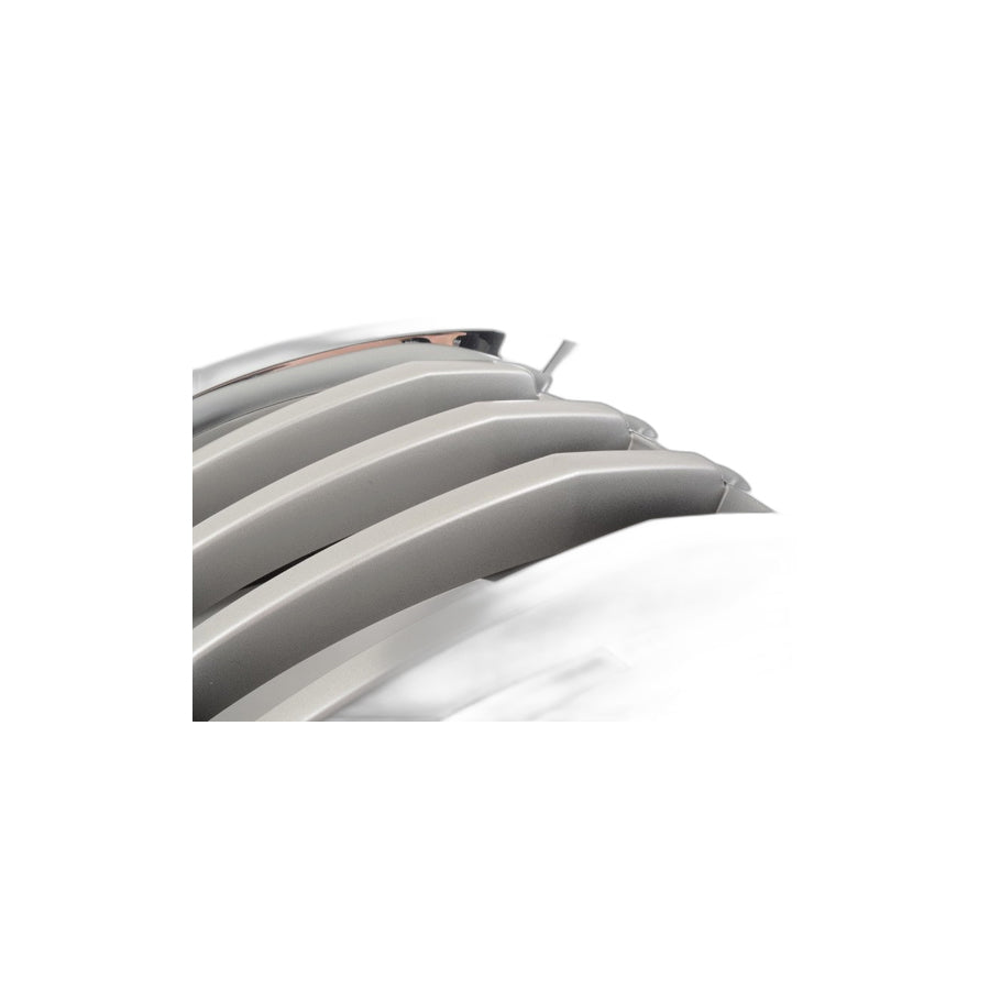 Genuine BMW 51137307599 E71 Grille, Front, Left TITAN 2 (Inc. X6) | ML Performance US Car Parts