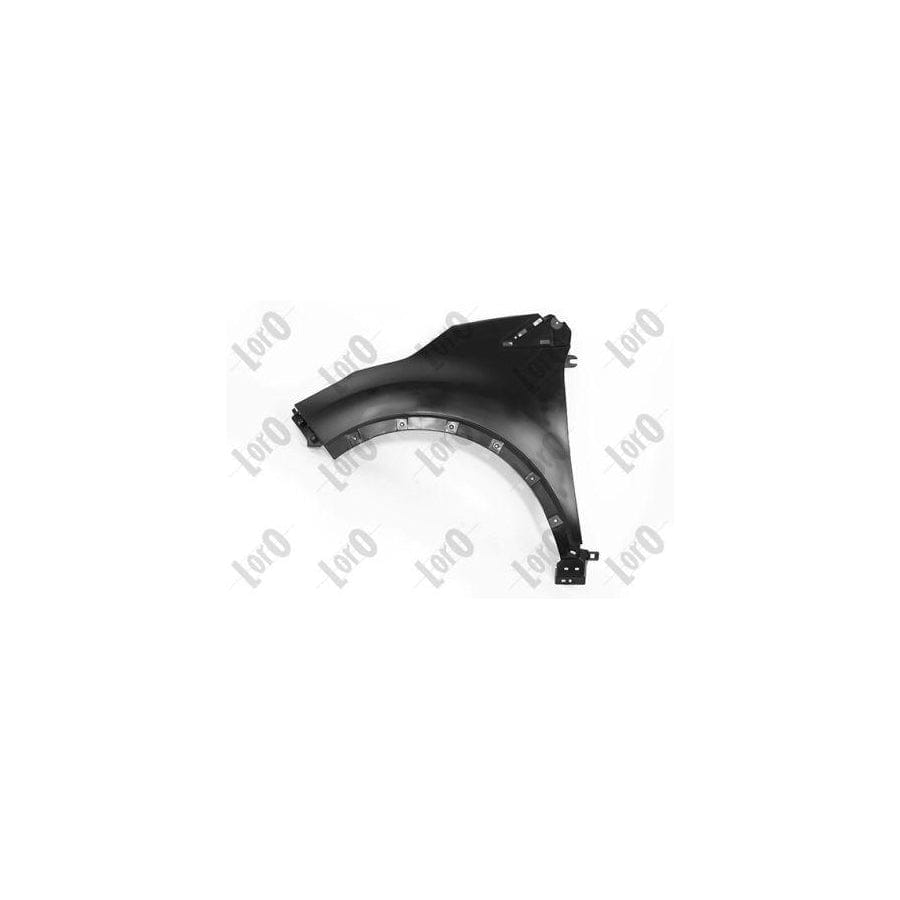 Abakus 04255201 Wing Fender for Renault Captur (J5_, H5_)