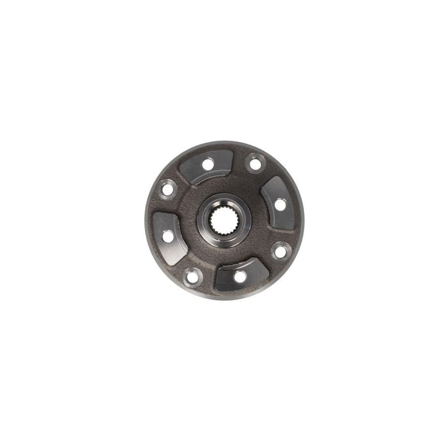 BTA H10005BTA Wheel Hub for Daewoo Tico