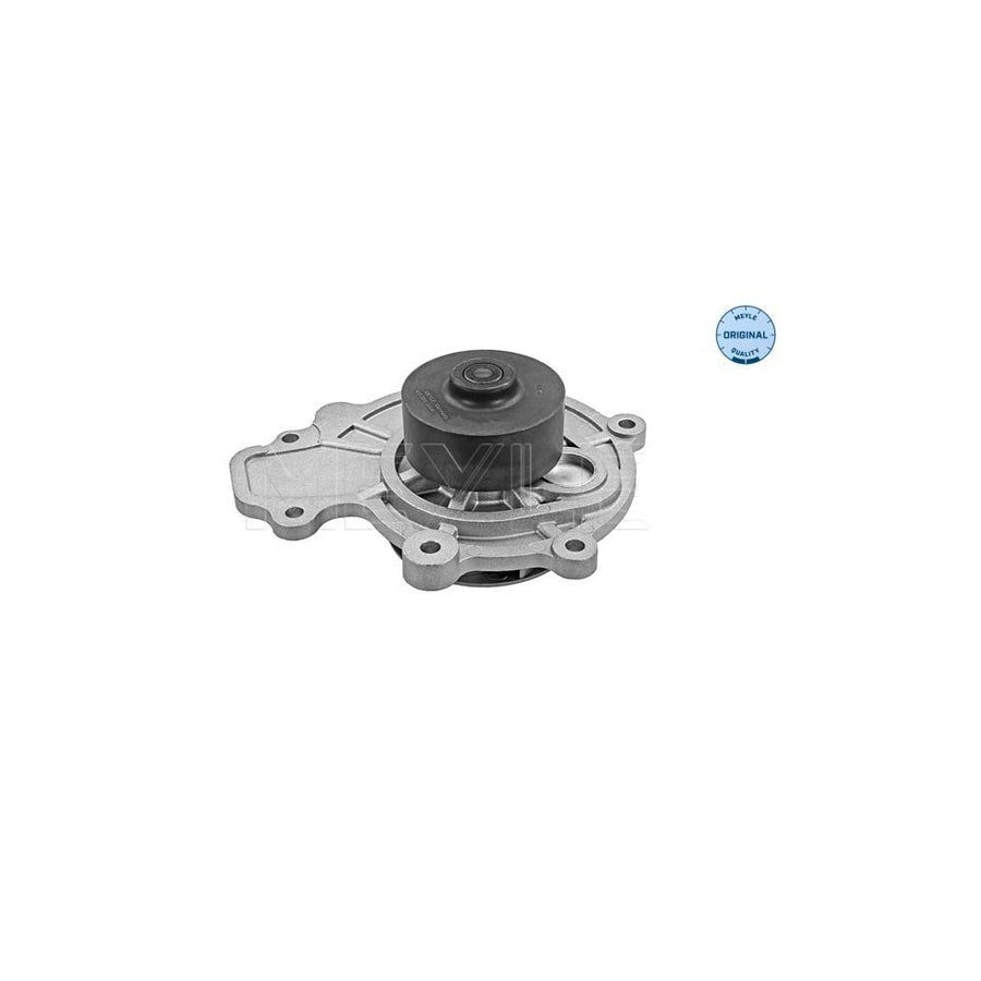 Meyle 613 220 0009 Water Pump