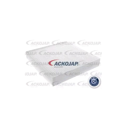 Ackoja A26-30-0006 Pollen Filter | ML Performance US