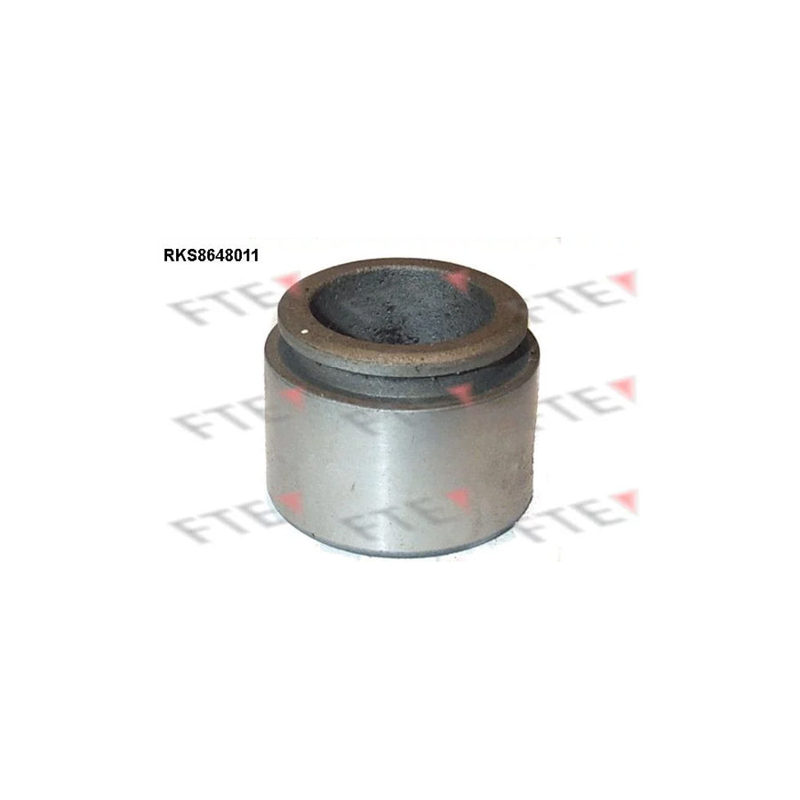 FTE Rks8648011 Piston, Brake Caliper