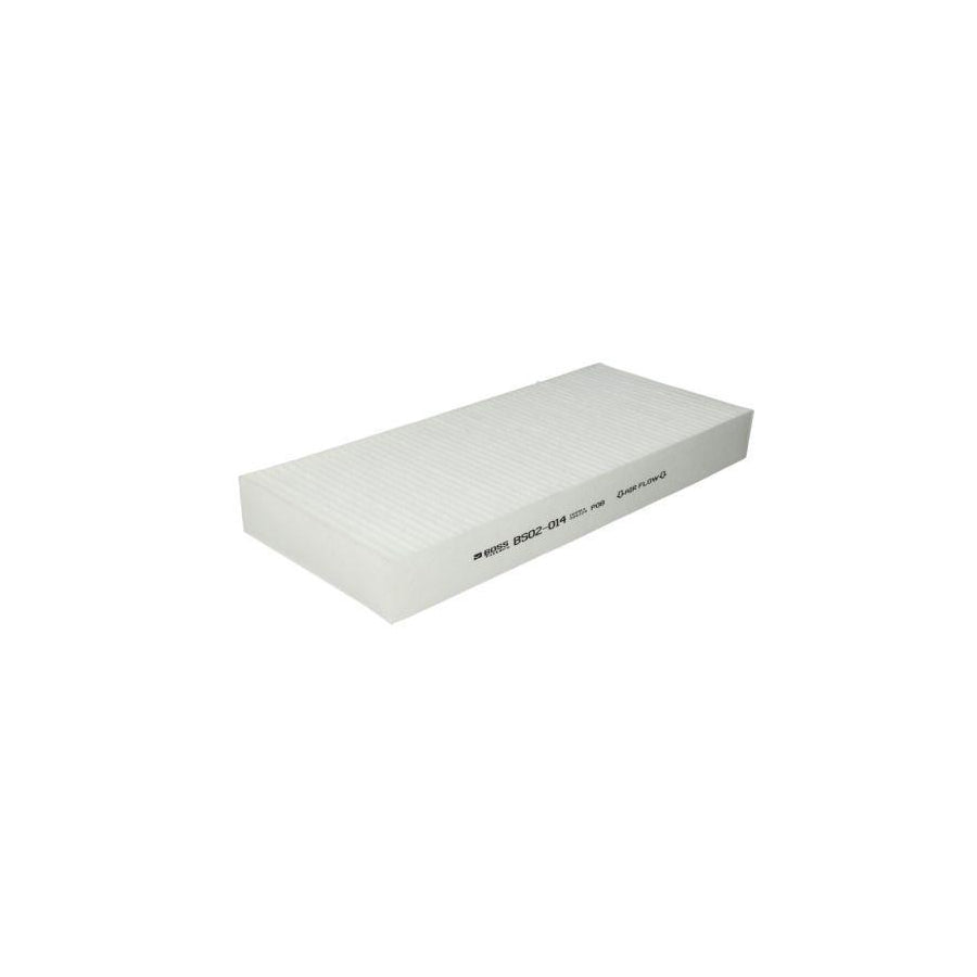 Boss Filters Bs02-014 Pollen Filter