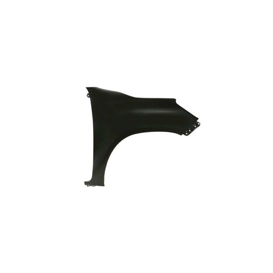 Blic 6504-04-8175314P Wing Fender For Toyota Hilux VIII Pickup