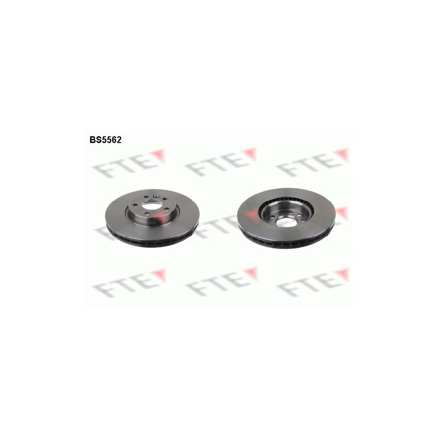 FTE 9071006 Brake Disc
