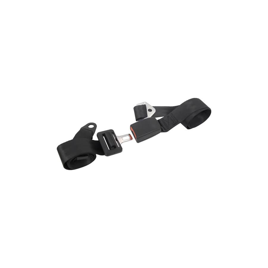 Carpoint 1434602 Safety Belt