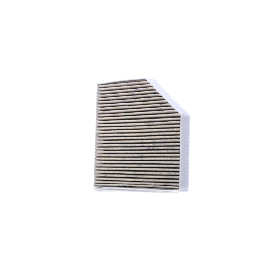 Master Sport 2641-IFB-PCS-Ms Pollen Filter