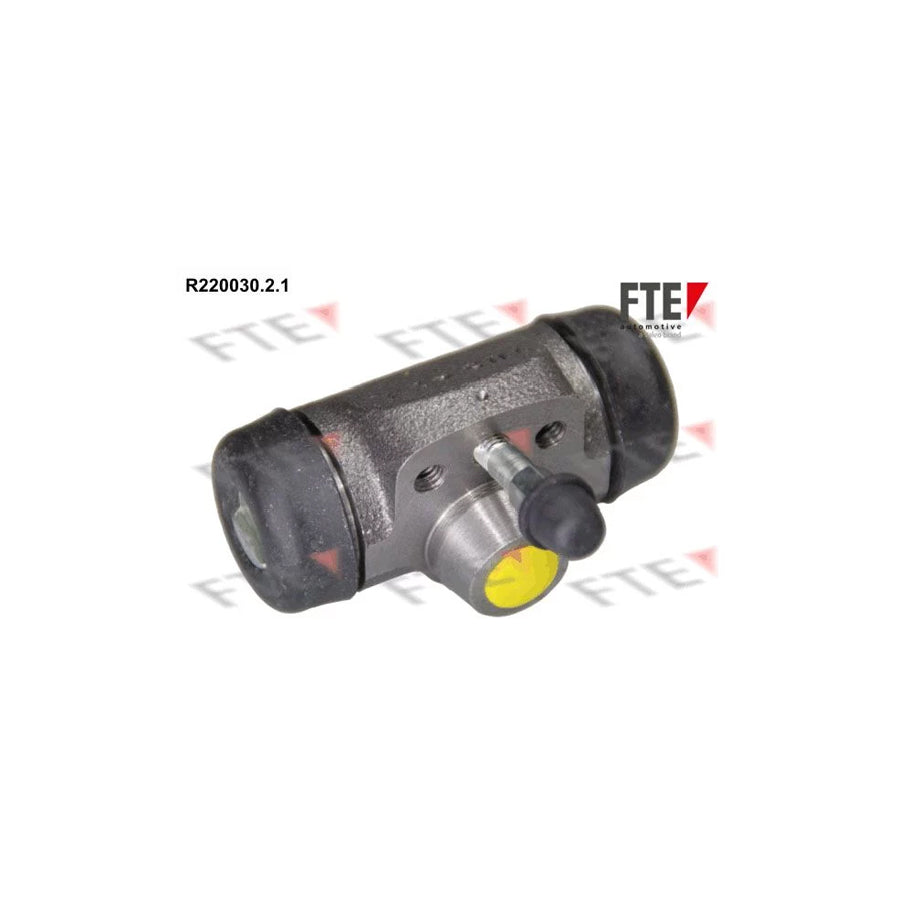 FTE R220030.2.1 Wheel Brake Cylinder