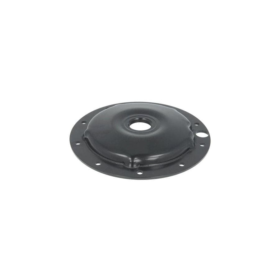 BTA B09-Mb-001 Cap, Wheel Bearing