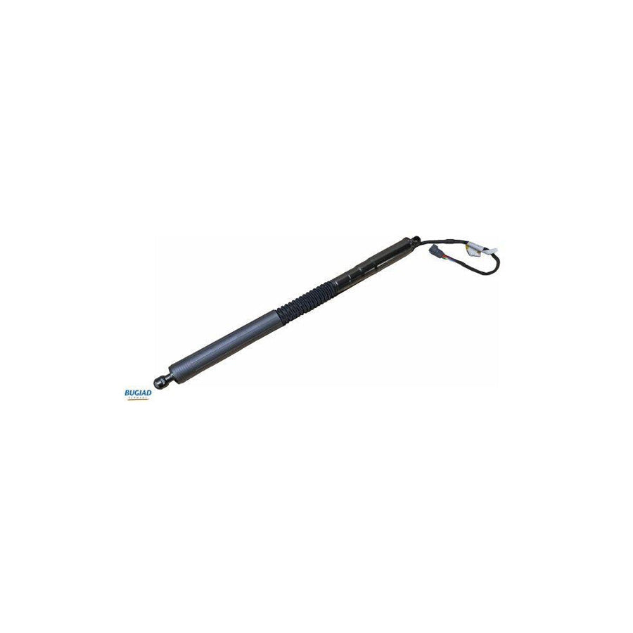 BUGIAD Brd50708 Tailgate Strut for BMW X3 (G01, F97)