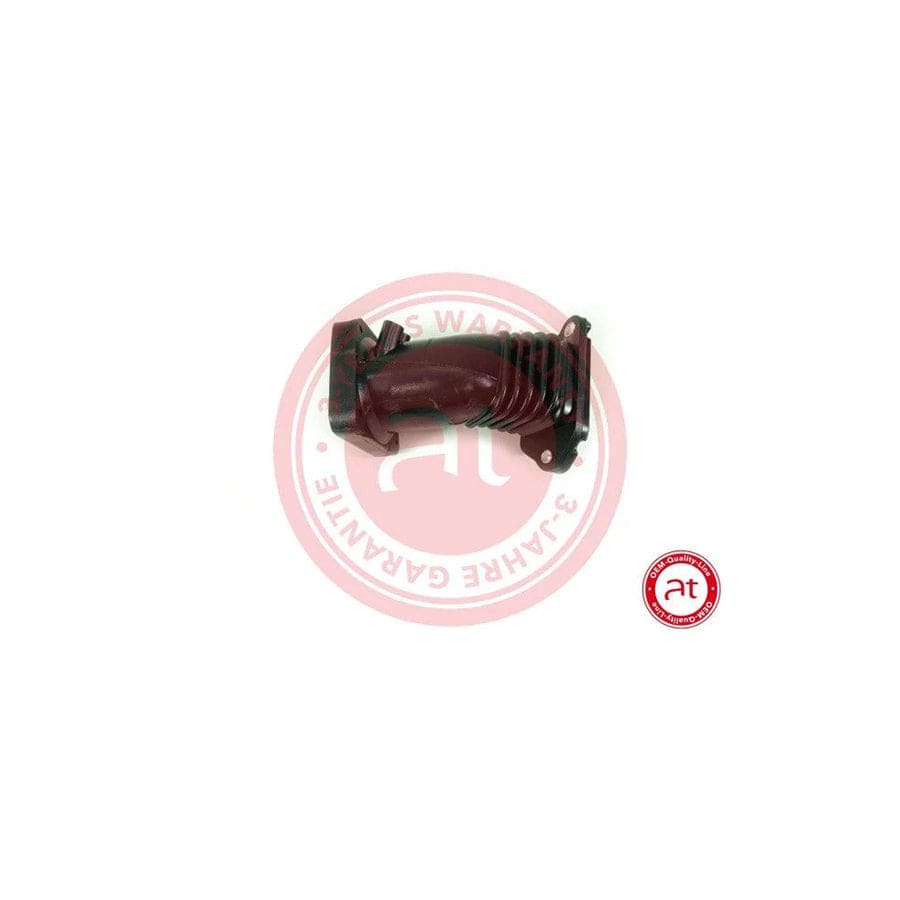 at autoteile germany At21795 Intake Pipe, Air Filter for Ford Focus