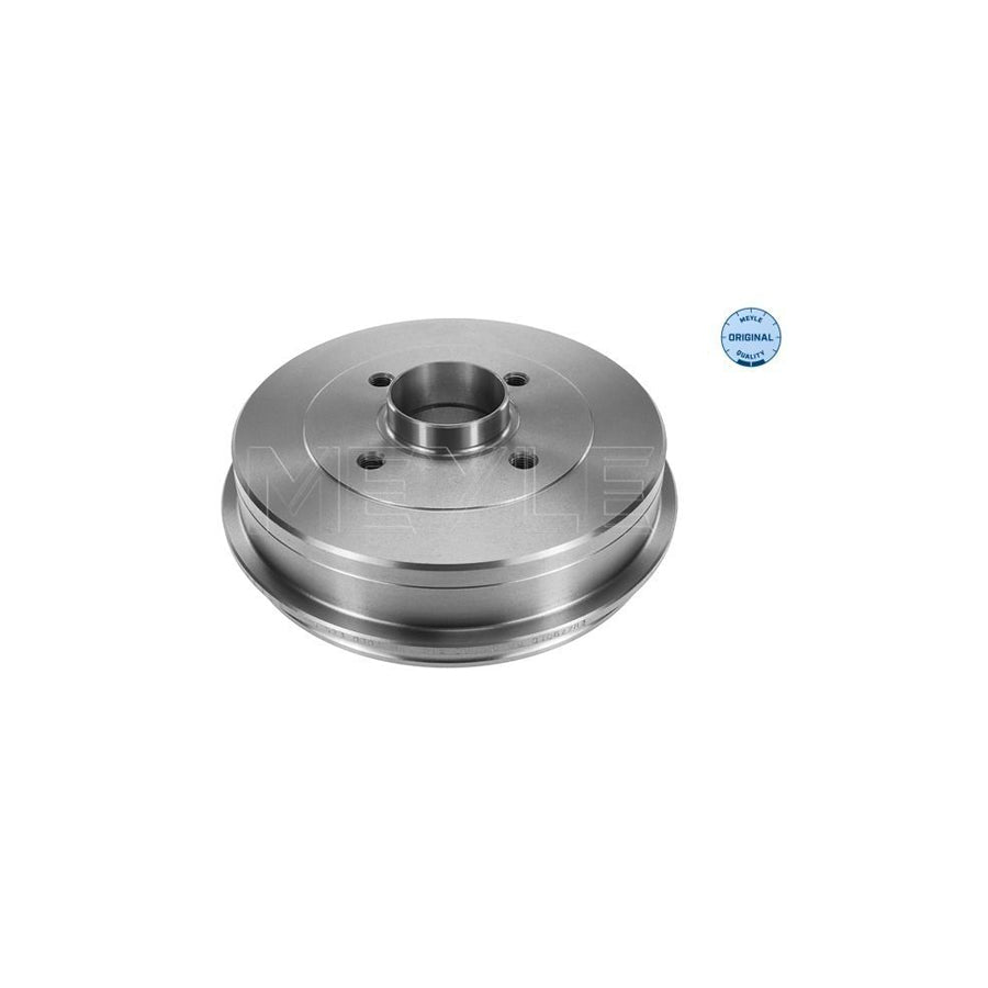 Meyle 16-34 030 0004 Engine Mount