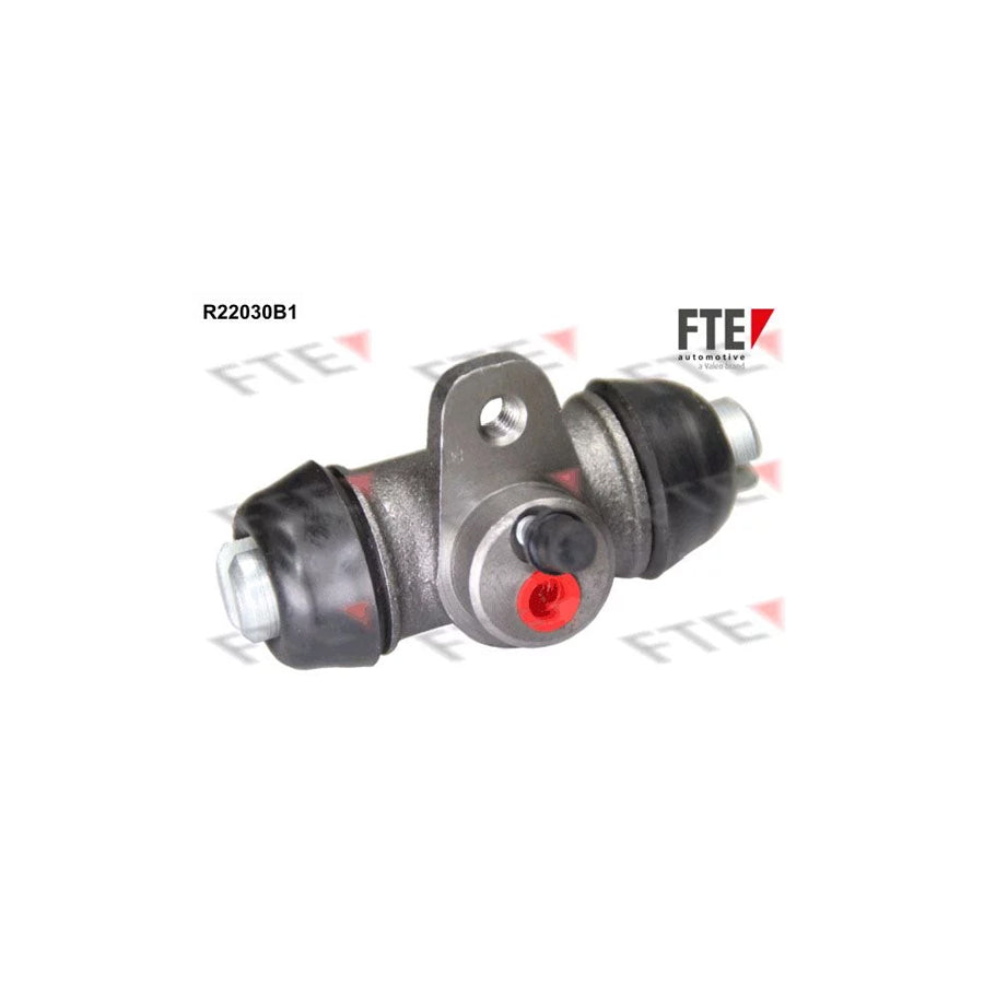 FTE R22030B1 Wheel Brake Cylinder