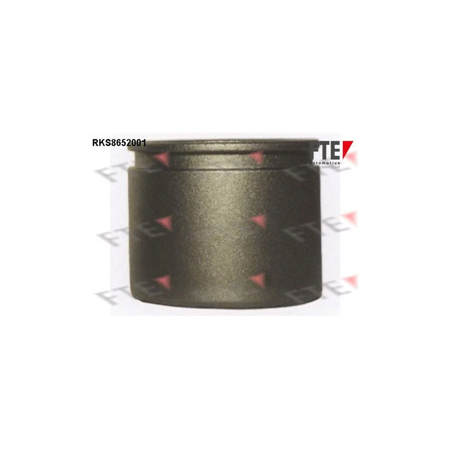 FTE Rks8652001 Piston, Brake Caliper