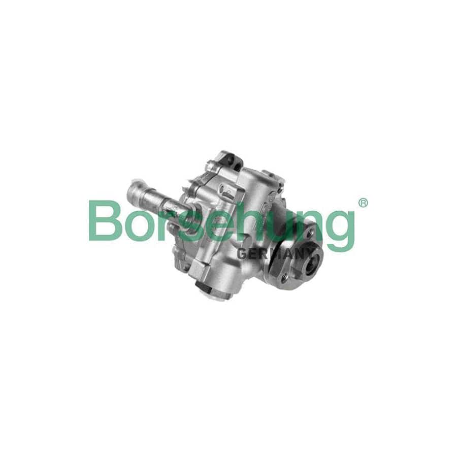 Borsehung B18227 Power Steering Pump