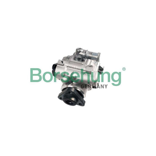 Borsehung B18225 Power Steering Pump for Audi A4