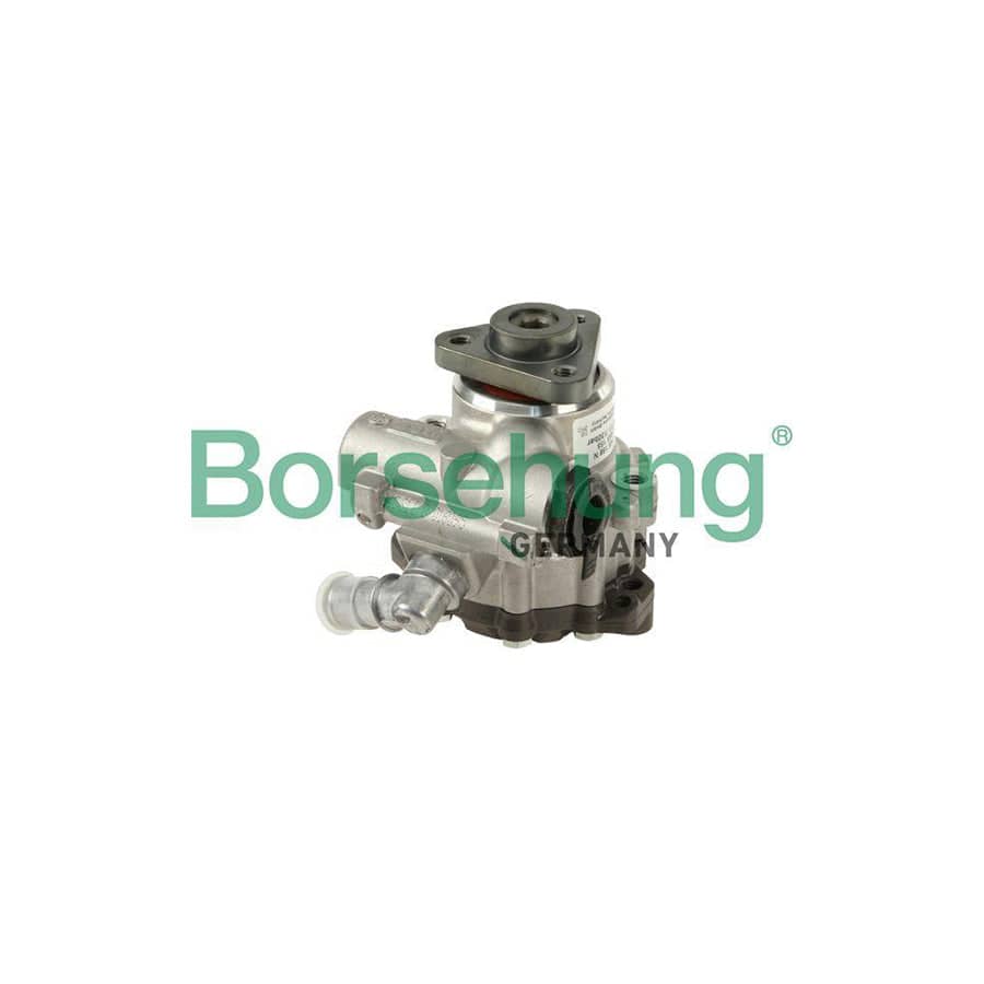 Borsehung B18223 Power Steering Pump for Audi Allroad C5 (4Bh)