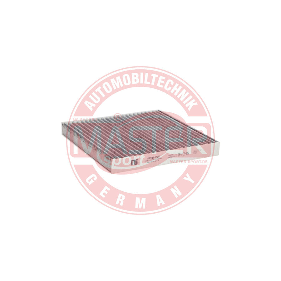 Master Sport 22021/1-IF-PCS-MS Pollen Filter