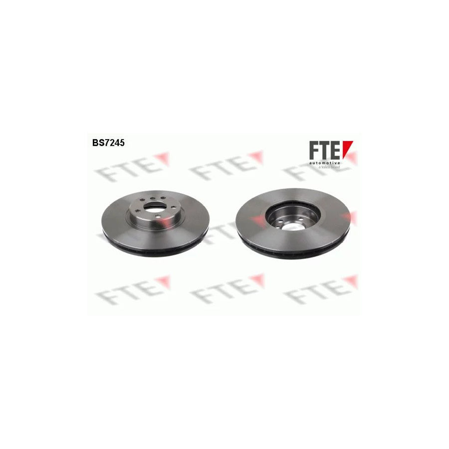 FTE 9071023 Brake Disc