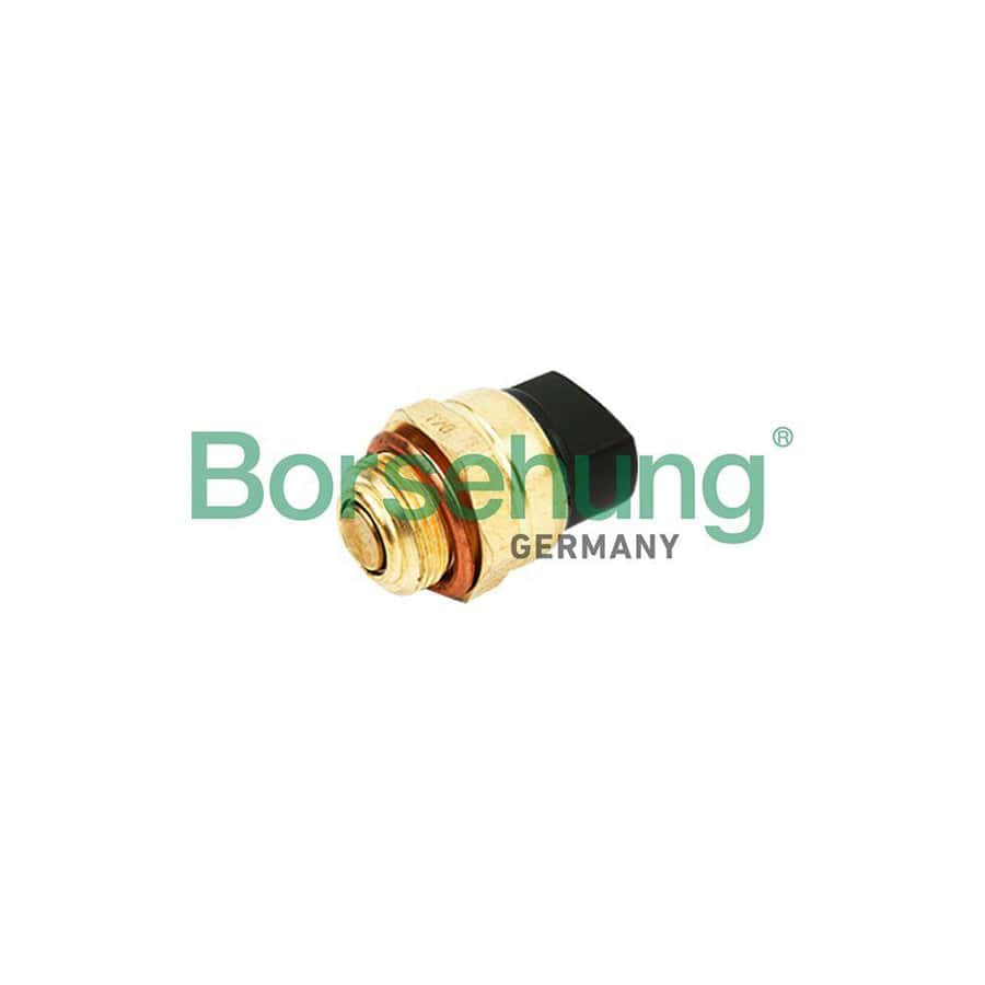 Borsehung B18290 Temperature Switch, Radiator Fan