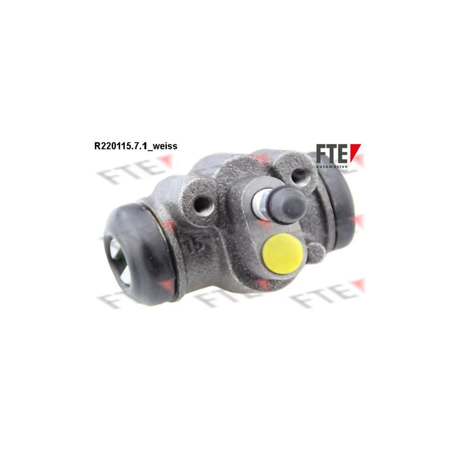 FTE R220115.7.1 Wheel Brake Cylinder
