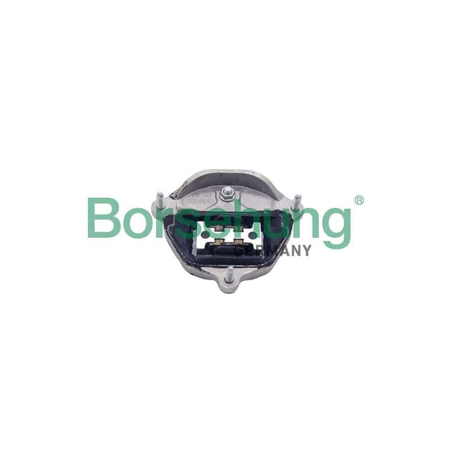 Borsehung B10041 Engine Mount