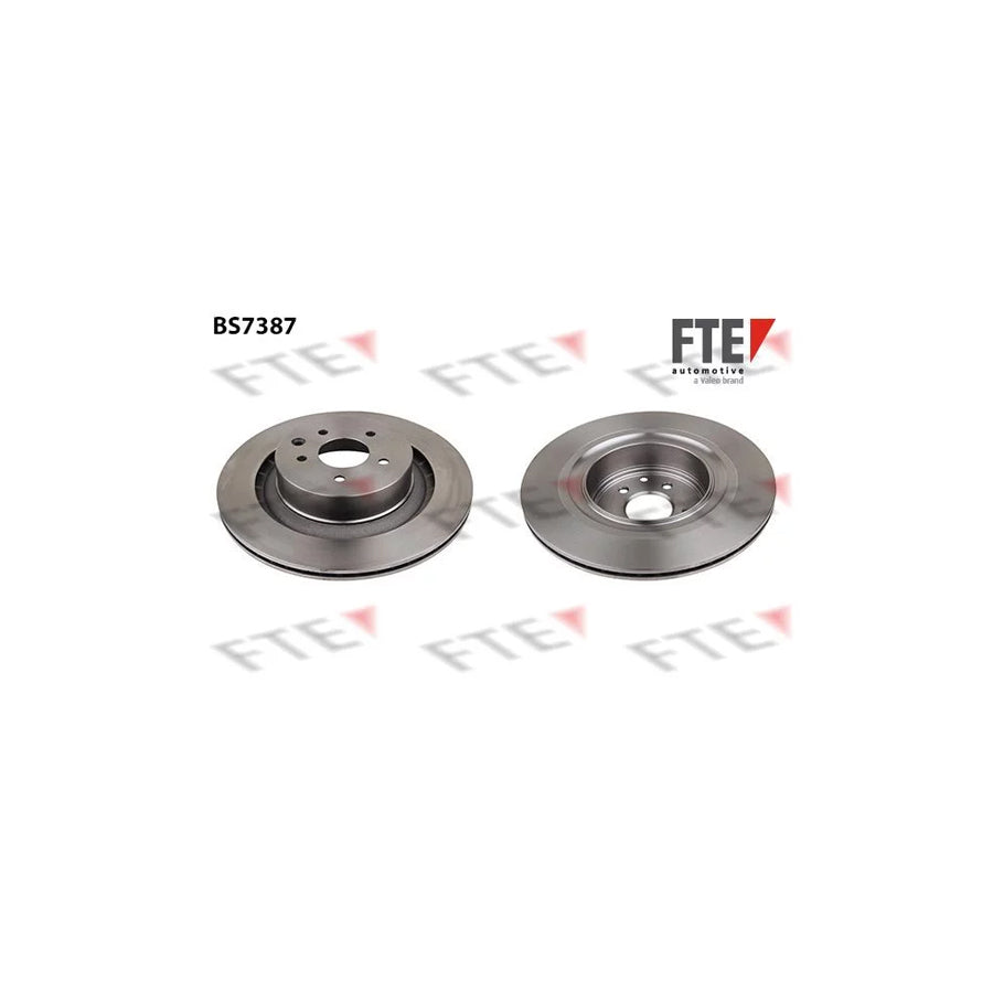FTE Bs7387 Brake Disc