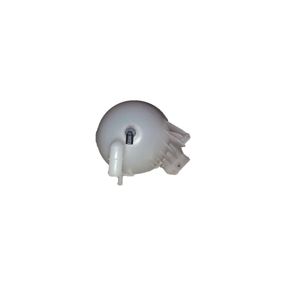 BUGIAD Bsp25024 Coolant Expansion Tank