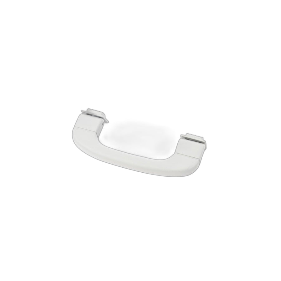 Genuine BMW 51166977700 E70 Handle HImmELGRAU (Inc. X5) | ML Performance US Car Parts
