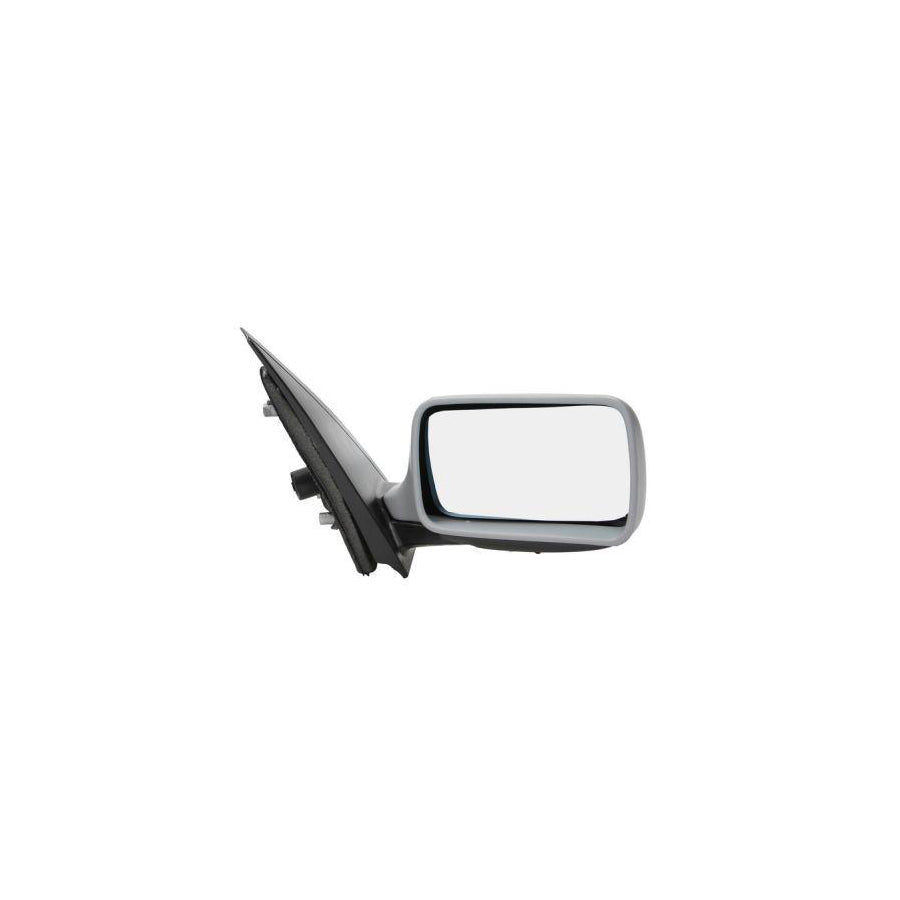 Blic 5402-04-1122272 Wing Mirror