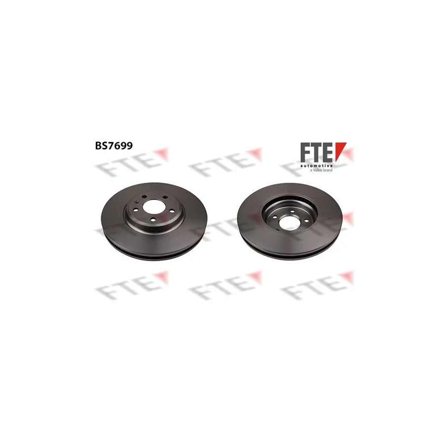 FTE 9071019 Brake Disc
