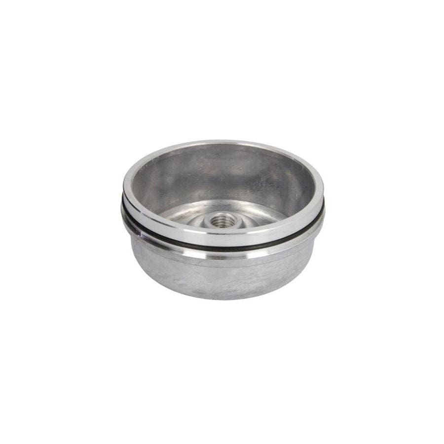 BTA B09-Saf-003 Cap, Wheel Bearing