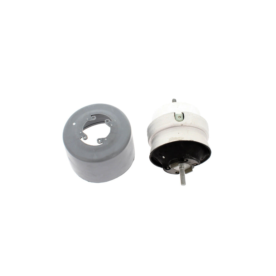 Corteco 80000011 Engine Mount for Audi A4