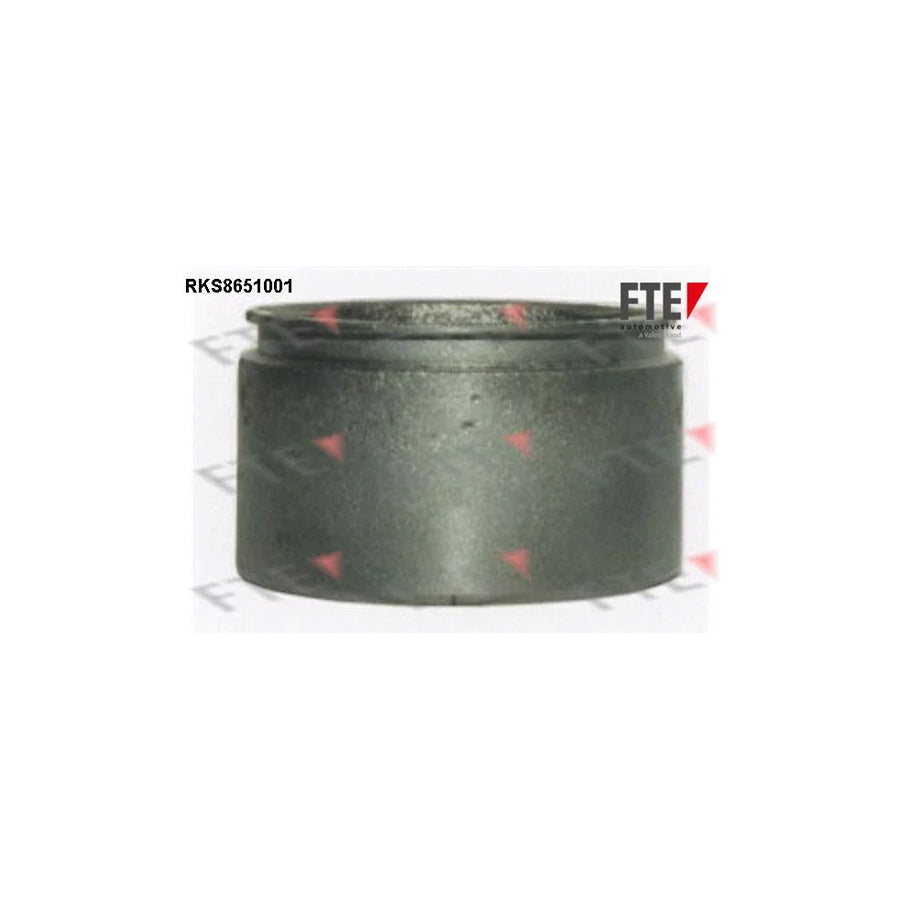 FTE Rks8651001 Piston, Brake Caliper