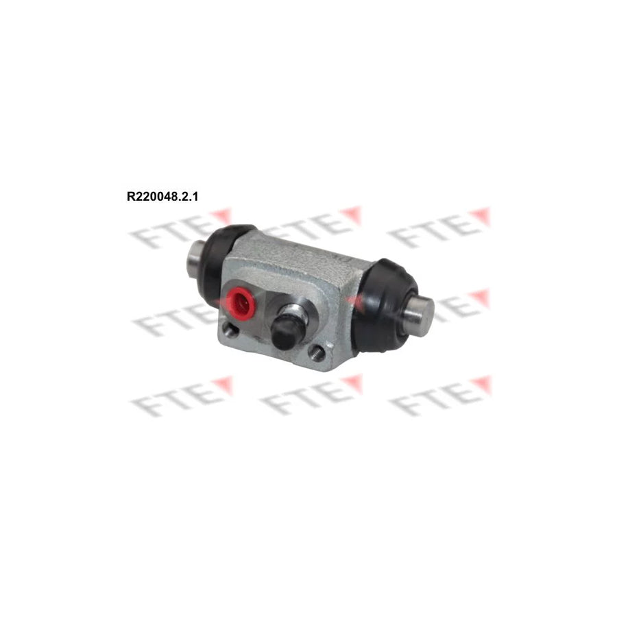 FTE R220048.2.1 Wheel Brake Cylinder