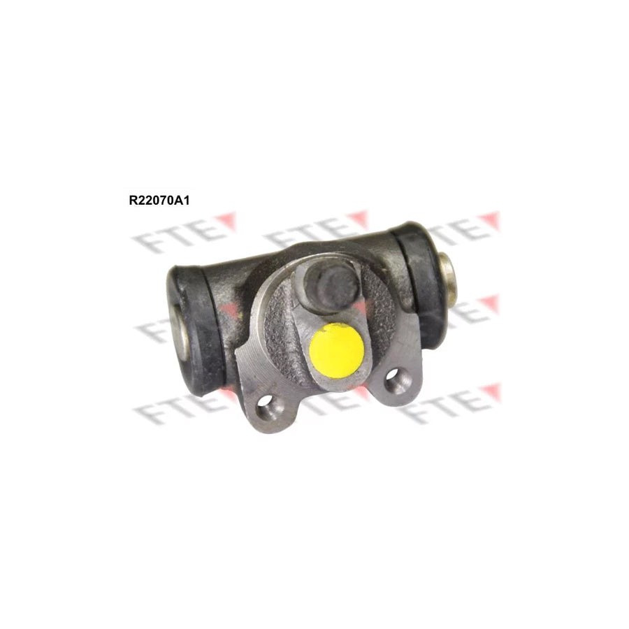 FTE R22070A1 Wheel Brake Cylinder