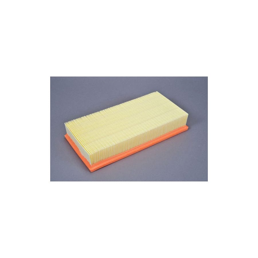 Automega 210163210 Air Filter
