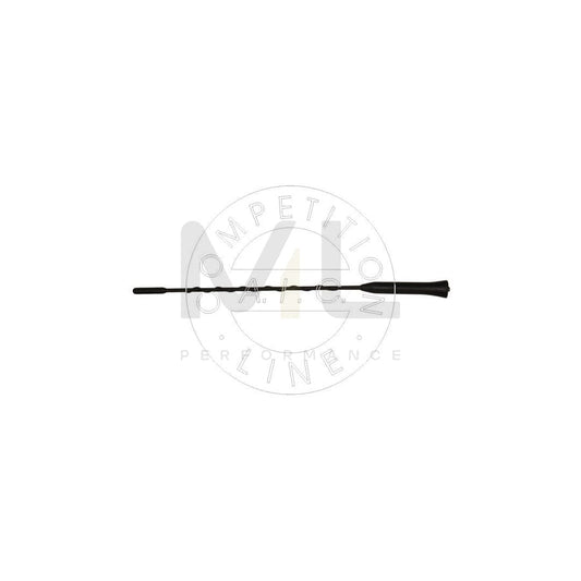 AIC 55028 Aerial