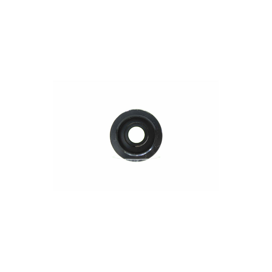 Alanko 10723009 Pulley, Alternator
