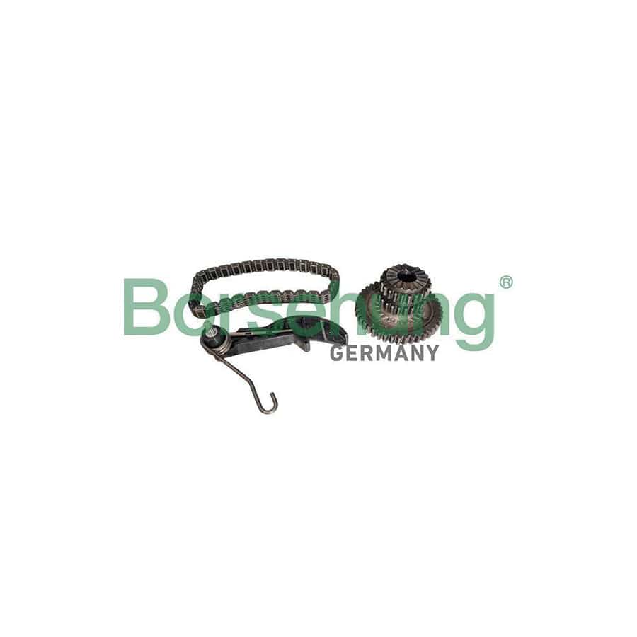Borsehung B10218 Chain Set, Oil Pump Drive