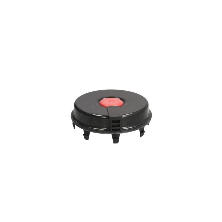 BTA B09-Rvi-001 Cover, Wheel Hub