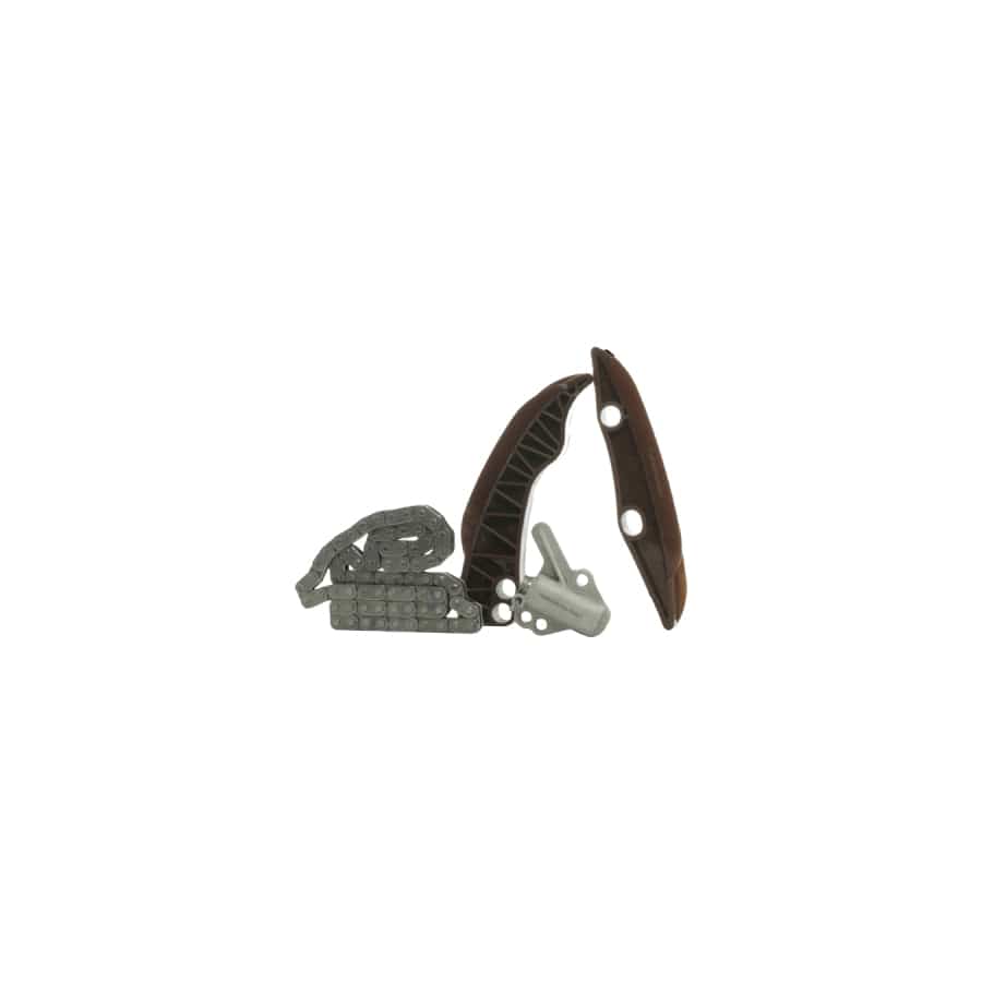 Borsehung B10215 Timing Chain Kit