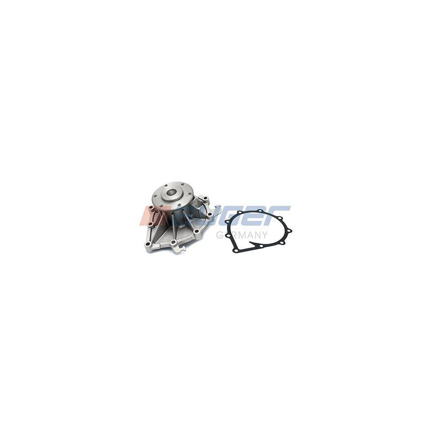 Auger 80765 Water Pump