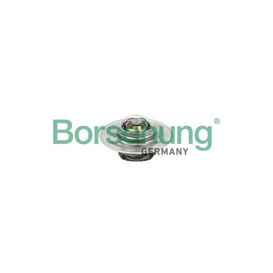 Borsehung B18280 Engine Thermostat