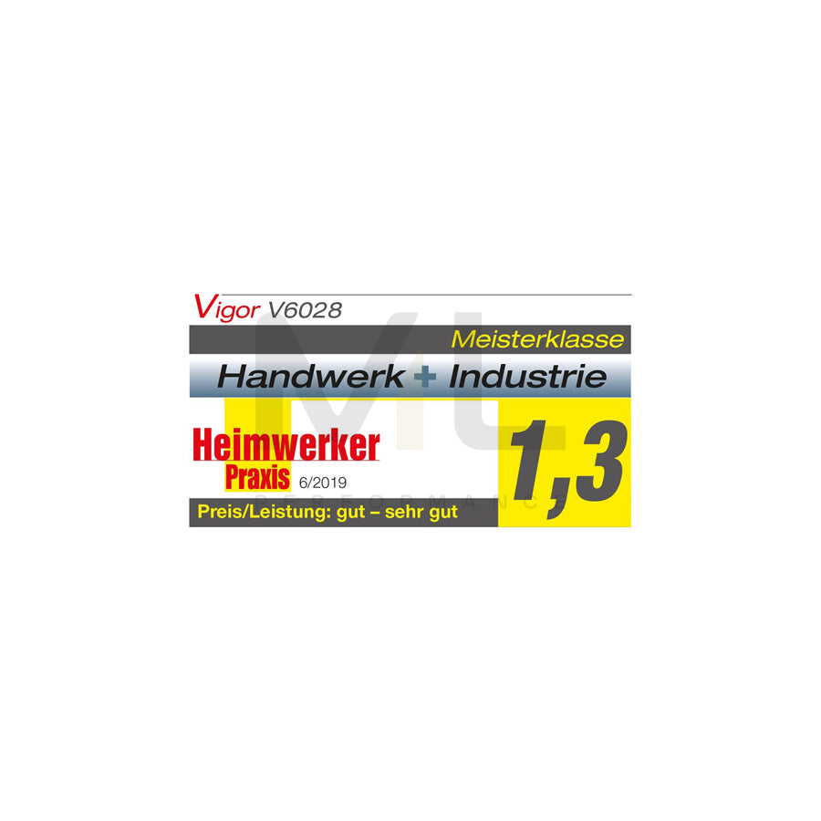 VIGOR V6028 Mobile Jack