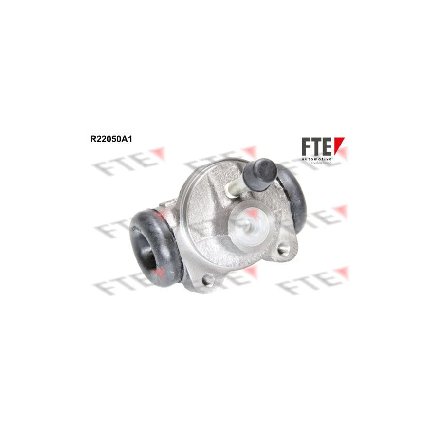 FTE R22050A1 Wheel Brake Cylinder