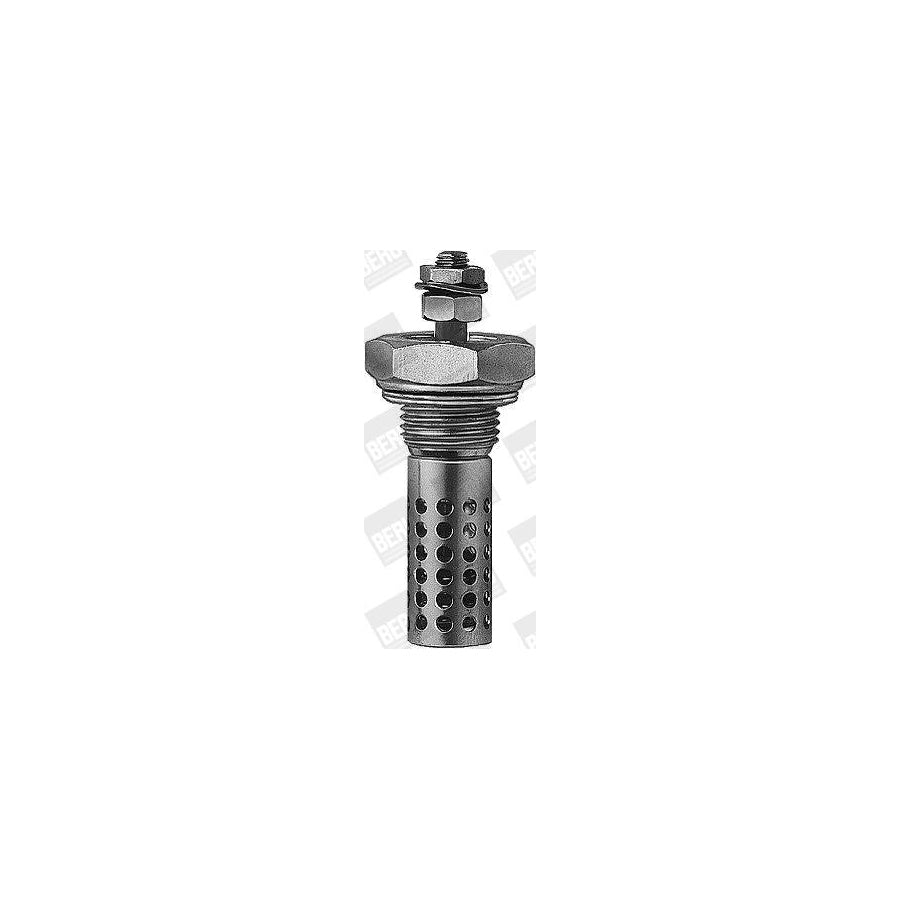 Beru Gh195 Glow Plug, Parking Heater