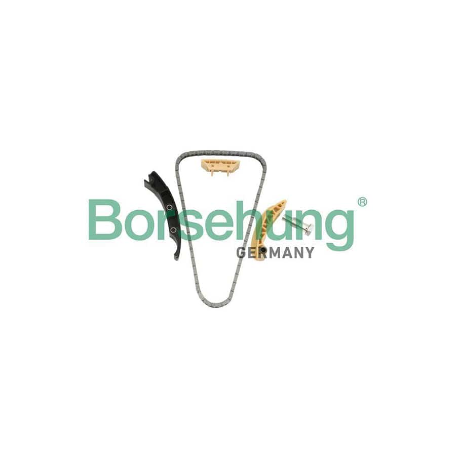Borsehung B10208 Timing Chain Kit