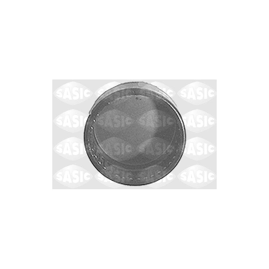 Sasic 1325735 Axle Bush
